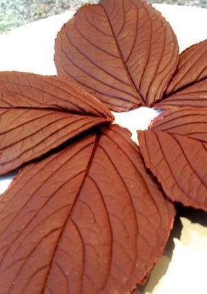 Una foto de Adornos de chocolate para tartas