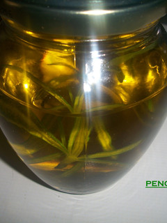 Una foto de Aceite al romero fresco