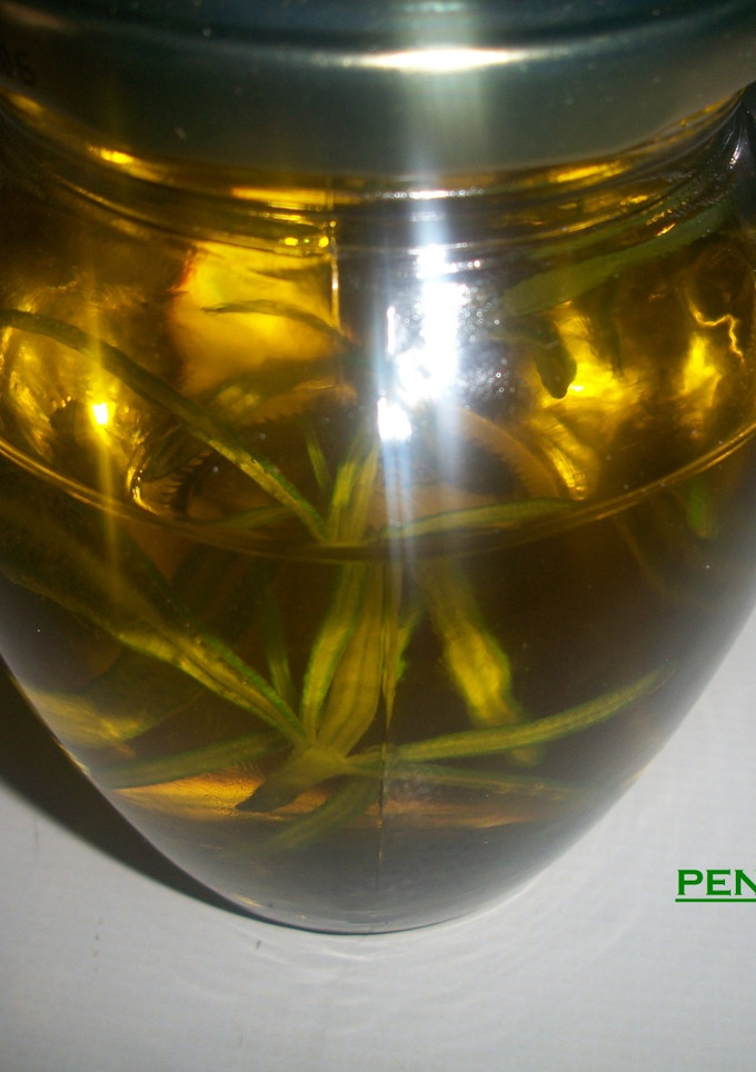 Una foto de Aceite al romero fresco