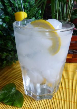 Una foto de Gin-tonic perfecto