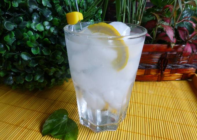 Gin-tonic perfecto Receta de milandebrera- Cookpad