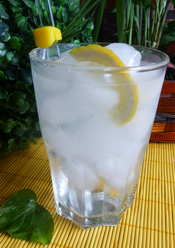 Una foto de Gin-tonic perfecto