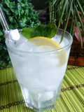 Gin fizz cocktail