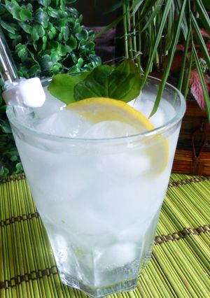 Una foto de Gin fizz cocktail
