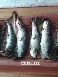 Una foto de Sardinas en teja con aceite de romero al horno