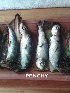 Una foto de Sardinas en teja con aceite de romero al horno
