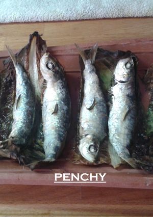 Una foto de Sardinas en teja con aceite de romero al horno