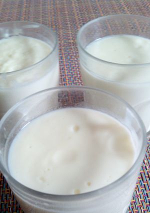 Una foto de Calostro