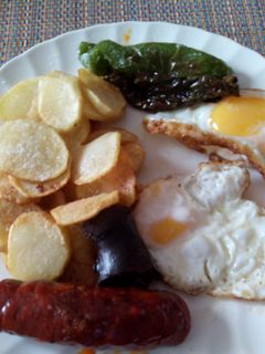 Una foto de Plato alpujareño