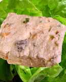 Mousse de Atún