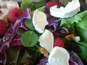 Una foto de ensalada col lombarda