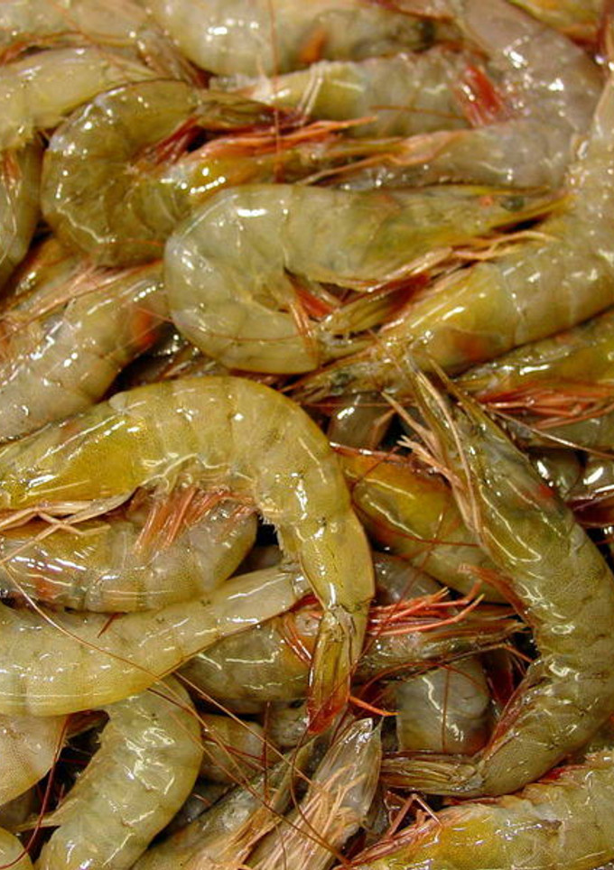 Una foto de Bolitas de langostinos