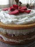 Torta primavera