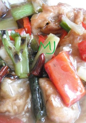 Una foto de kung pao