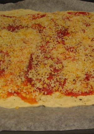 Una foto de Pizza thermomix