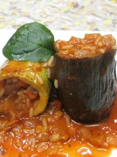 Foto principal de Tubos de calabacines y berenjenas rellenos