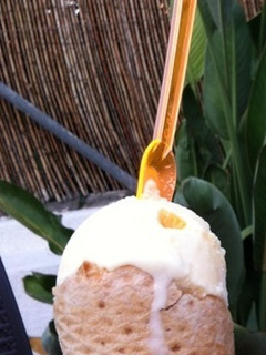 Una foto de Helado de mantecado