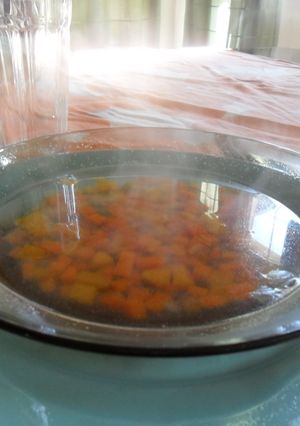 Una foto de Sopa naranja de verduras