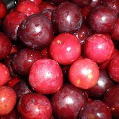 Foto principal de Mermelada de ciruelas rojas