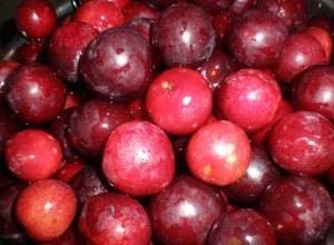 Foto principal de Mermelada de ciruelas rojas