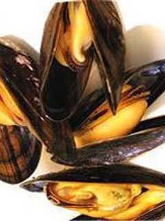 Una foto de Mejillones Primavera