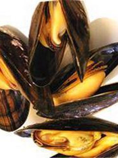 Una foto de Mejillones Primavera
