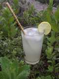 Gin - Tom Collins
