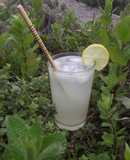 Gin - Tom Collins