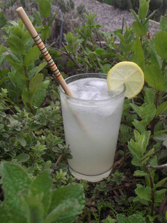 Una foto de Gin - Tom Collins