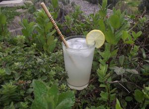 Una foto de Gin - Tom Collins
