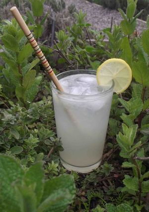Una foto de Gin - Tom Collins