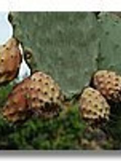 Una foto de Sorbete de higos chumbos murcianos
