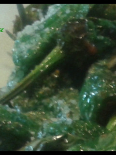 Una foto de Pimientos fritos de padrón
