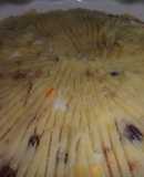Pastel de carne y verduras