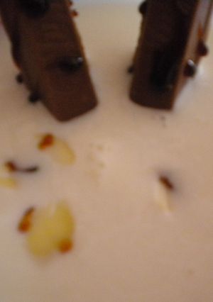 Una foto de Postre frio de nata