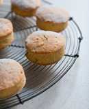 Scones para celiacos