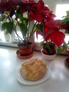 Una foto de Coca de pan