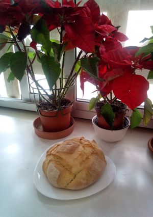 Una foto de Coca de pan