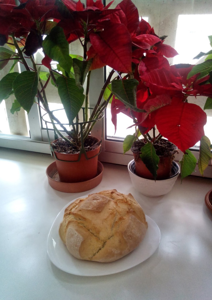 Una foto de Coca de pan