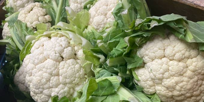 How cauliflowers develop their odd shape revealed - MandyCanUDigIt