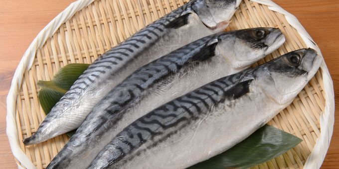 5 種鯖魚料理方式 - Cookpad