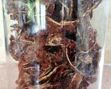 糖薑片的食譜步驟7照片