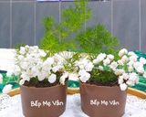 Hình bước làm 4 của món Chậu cây từ sôcôla và bánh oreo