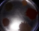 A picture of step 4 of Mushroom masala.