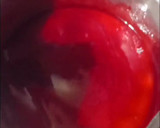 Foto del paso 3 de la receta: 🔴Gomitas (Caseras)🔴