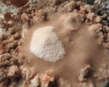 Foto del paso 2 de la receta: Pudin de pan duro