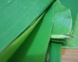 Foto langkah ke 1 dari resep Pepes tahu jamur.