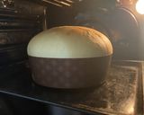 Foto del passaggio 10 della ricetta Panettone al Pistacchio