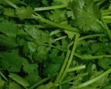 A picture of step 1 of Hara dhania chutney in summer style.