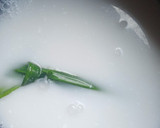 Foto langkah ke 1 dari resep Ketan susu keju.